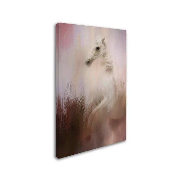 Jai Johnson 'Wild Winter Day' Canvas Art,22x32